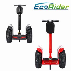 Wholesale 2 Wheel Electric Chariot Scooter , Self Balancing Electric Segway Scooter with Double Battery from china suppliers