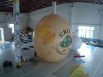 Air Brush UV Printed Wall Nut Fruit Shaped Balloons For Helium / Event Show 5m