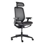 Paddle Control Ergonomic Executive Chair GT Office Chair High Back Seating