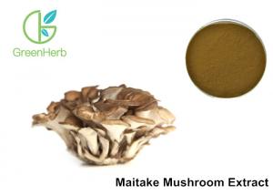 China 30% Polysaccharides Maitake Mushroom Extract Powder Grifola Frondosa on sale