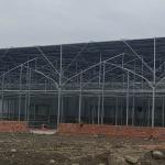 Multi Span Tunnel Plastic Tomato Greenhouse Stable Structure Prefabricated Multi