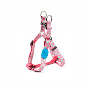 Wholesale S M Polyester Webbing Bobby Dog Harness Non Pull Dog Lead from china suppliers