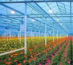 Initial Payment Snow Vibrator Greenhouse for Agriculture Unheated Heating Method