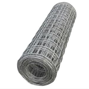 Wholesale 4 Gage 2X2 Galvanized Welded Wire Mesh Roll for Bird Direct Length 5-50m Square Hole from china suppliers