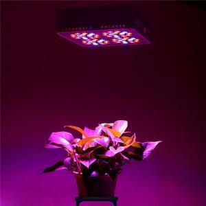 Wholesale Apollo series 3W*60pcs led chips panel grow light Red 630nm Blue 460nm led growing from china suppliers