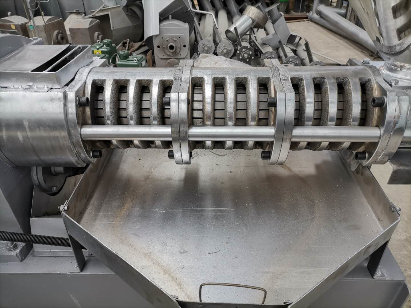 Stainless Steel 100r/Min Rapeseed Screw Oil Press Machine