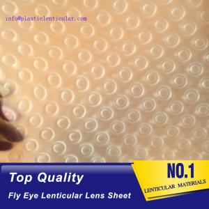 China PLASTIC LENTICULAR fly eye lenticular lens pp 3d dot film for led diffusers fly eyeballs lens sheet factory supplier on sale