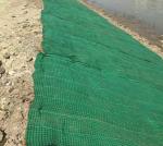 Coconut/Straw fiber Turf Reinforcement Mat/Erosion Control Mattress for Slope