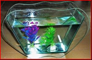 Wholesale Mini Fish Tank Fishdom Desktop Decoration home decoration handwork crafts glass aquarium from china suppliers