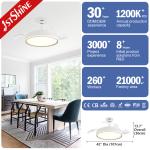 Contemporary Design 6 Speed LED Ceiling Fan with Hidden Blades 42 Inch Space