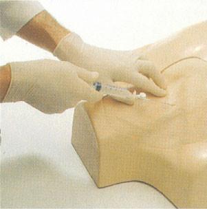 Quality IV Torso clinical simulation jugular ,subclavian ,femoral vein puncture training for colleague for sale