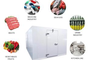 Wholesale Walk In Cooler, Low Temperature Cold Room Freezer With Copeland Compressor from china suppliers