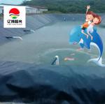 Waterproof HDPE Geomembrane Liners for Aquaculture Pond in Black White Green and