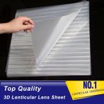 PLASTIC LENTICULAR Plastic PS/PET/PP Material 75/100/161 Lpi 3d lenticular lens