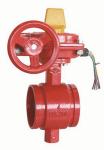 2 3 inch PN16 cast ductile iron Grooved butterfly valves