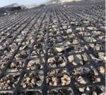 50-100m Plastic PP Biaxial Geogrid Perfect for Civil Engineering Construction 30
