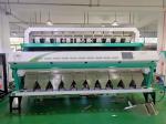 Coffee Bean Sesame Seeds Color Sorter Machine With SMC Ejector