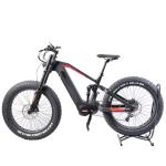 Carbon Fiber Electric Bicycle with 1000w Full Suspension 11 Speed and 48V 20Ah