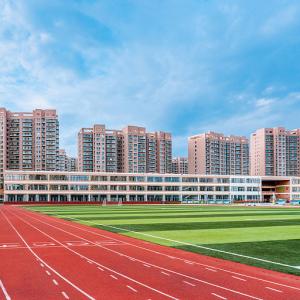 Wholesale High Strength Synthetic Sports Surfaces Track All-Weather Running Track Surface from china suppliers