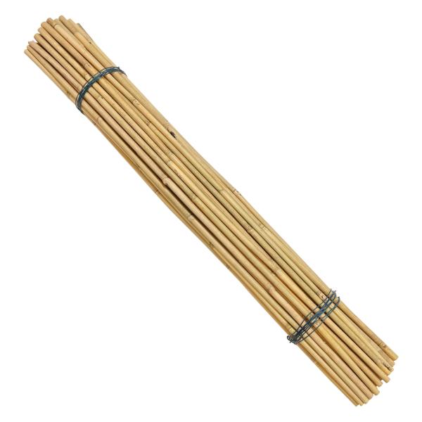 Eco-Friendly Bamboo Poles Toamto Beans Potted Plants for Indoor and Outdoor