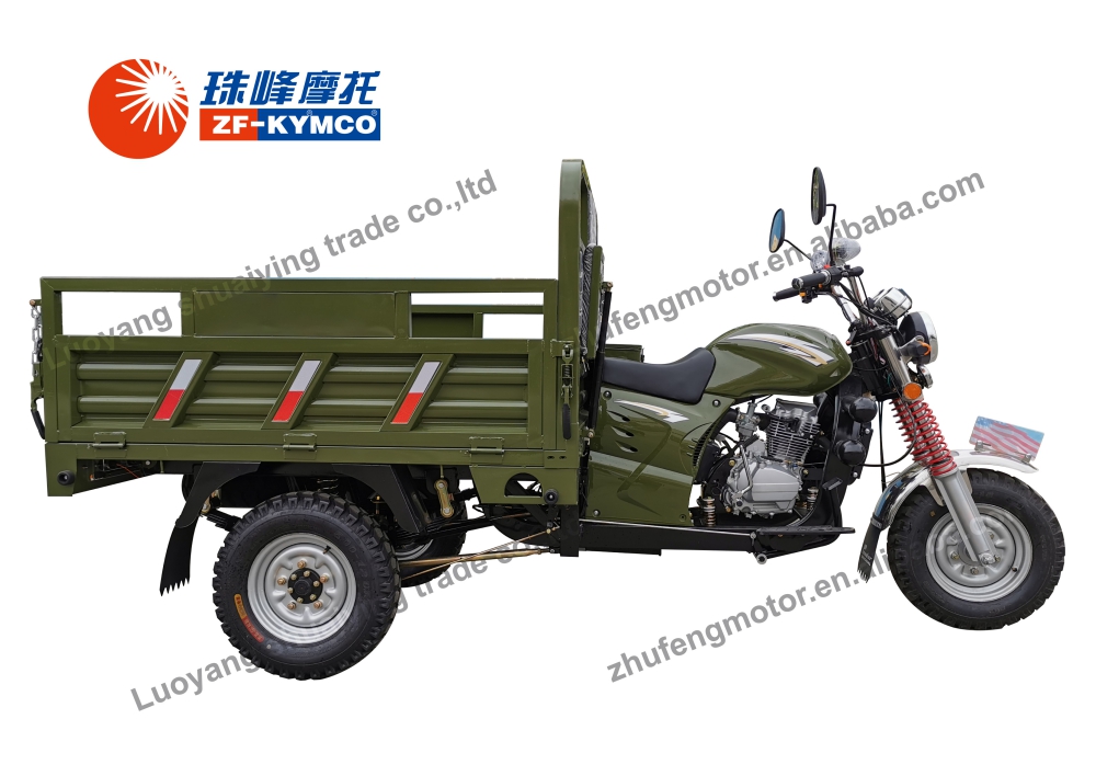 800W 3 Wheel Cargo Motorcycle