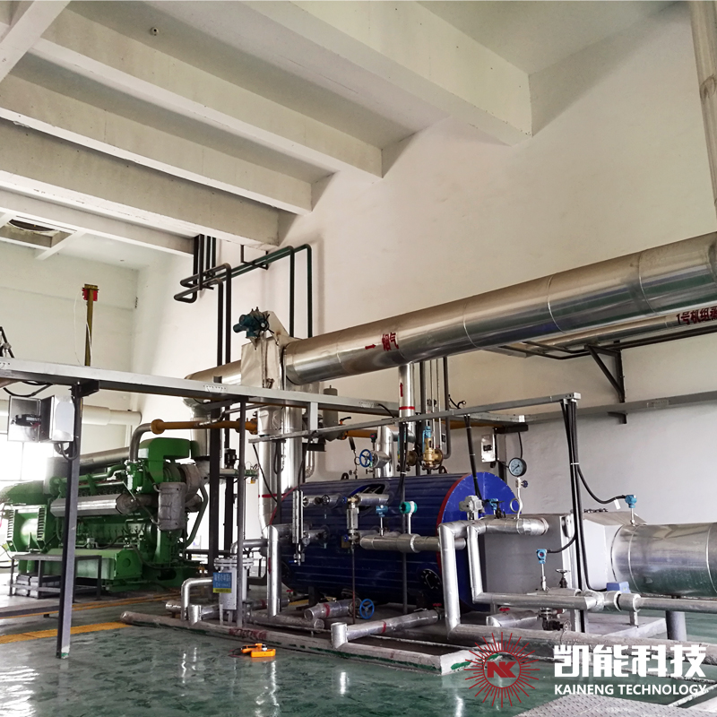Waste heat Boiler Units for Gas Generator Sets
