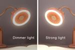 Clip desk lamp fan / Flexible tube clip rechargeable portable mini fan on clip