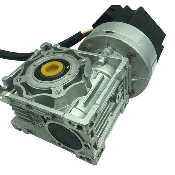 NMRV040.86BL NMRV050.86BL Brushless DC Worm Gear Motor With NMRV Gear Reducer