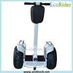 Adult Electric Scooter 2 Wheel Self Balancing Transporter 4 Hours - 6 Hours