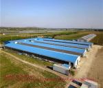 Steel Structure Building Prefab Poultry Chicken House Poultry Shed Chicken Farm