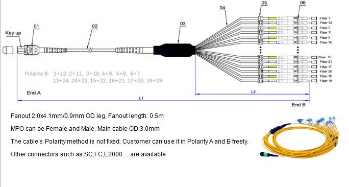 24 Fibers MPO to LC Singlemode Fiber Optic MPO-LC 2.0mm Straight harness Cables