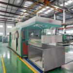 Fully Automatic Vacuum Forming Machine Food Packaging Thermoforming Machine