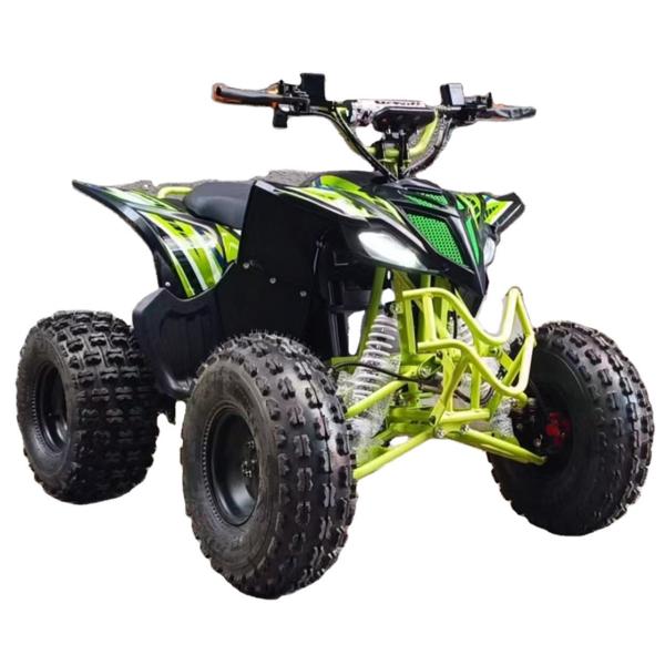 1130*590*730mm EEC Spy Racing Atv Highly 800w 4x4 Electric Go Karts for Kids and