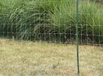Wholesale Galvanized Grassland Wire Mesh Fence Cattle / Sheep / Field / Deer