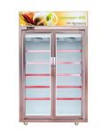 Upright Vertical Ice Cream Glass Door Display Freezer For Frozen Food Energy -