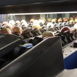 Wholesale High Accuracy 99.9% Apple Sorting Machine Stainless Steel 380V from china suppliers