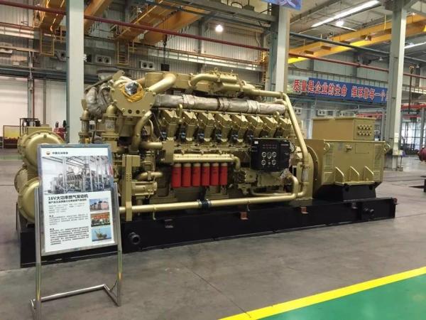 Standard H16V190zlt2-2 Natural Gas Generator Parts Jinan to Niger Standard