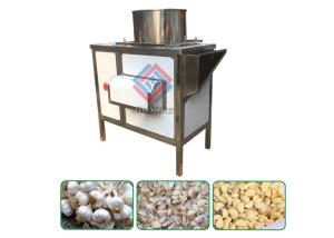Wholesale 500KG/H 304 Stainless Steel Automatic Garlic Divider Dry Garlic Separating Machine from china suppliers