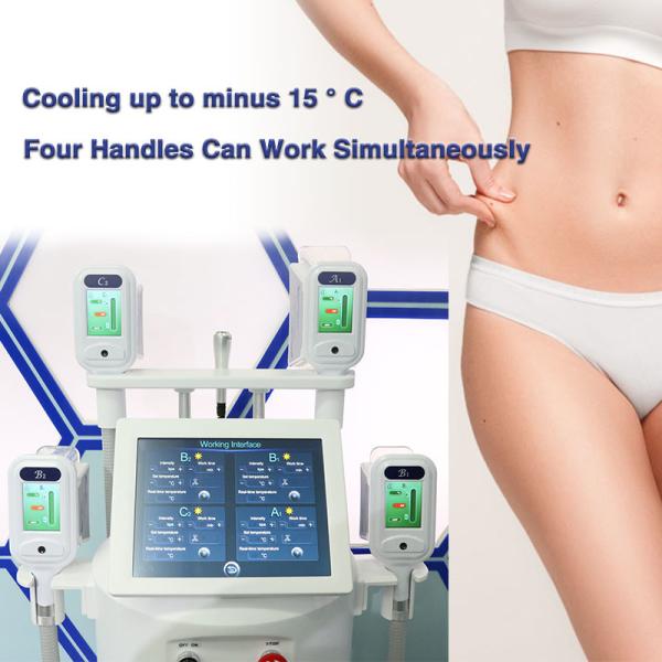 Cool Tech Body Sculpting Cellulite Removal Freezing Fat Cryotherapy Weight Loss
