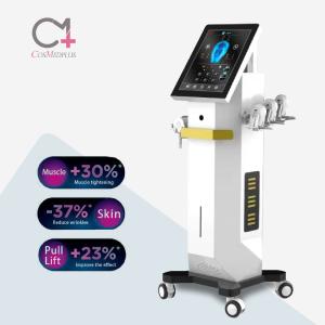 Wholesale Desktop Face Neck Treatment 2024 Latest RET-Face RF EMS Facial Machine for Anti-Aging from china suppliers