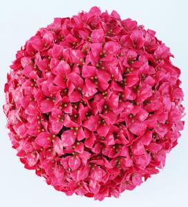 Wholesale Flower Topiary Artificial Plant Balls Plastic Faux from china suppliers