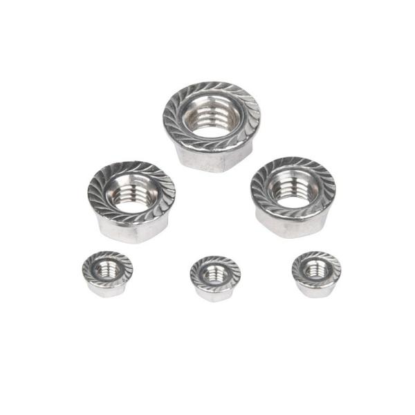Nickel Plated Carbon Steel Fine Thread Flange Nut SS304 DIN6923 M8 M10 M12 for