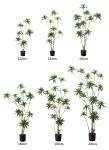 Artificial special-shaped dracaena Reflexa tree green home deco hotel office