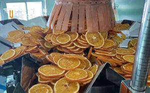 Wholesale Automatic 10 Heads Multihead Combination Weigher For Dry Fruit Pieces from china suppliers