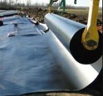 Waterproof 0.5mm Geomembrane for Shrimp Pond in Black White Green Blue