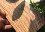 Wood Grain Styles Polyester Powder Coating Paint For Aluminum Profiles