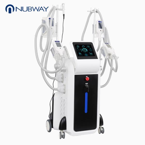 2018 newest affordable less weight ice beauty cryotherapy slimming cryo