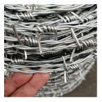 2.5mm Galvanized Iron Wire Protect Barbed Concertina Fence Razor Barbed Wire for