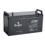 Float Voltage 13.8V Gel Lead Acid Battery Max Charge Current 100A