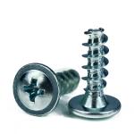 Metric Phillips Truss Washer Head PT Thread Forming Screw Plastic 500mm Length